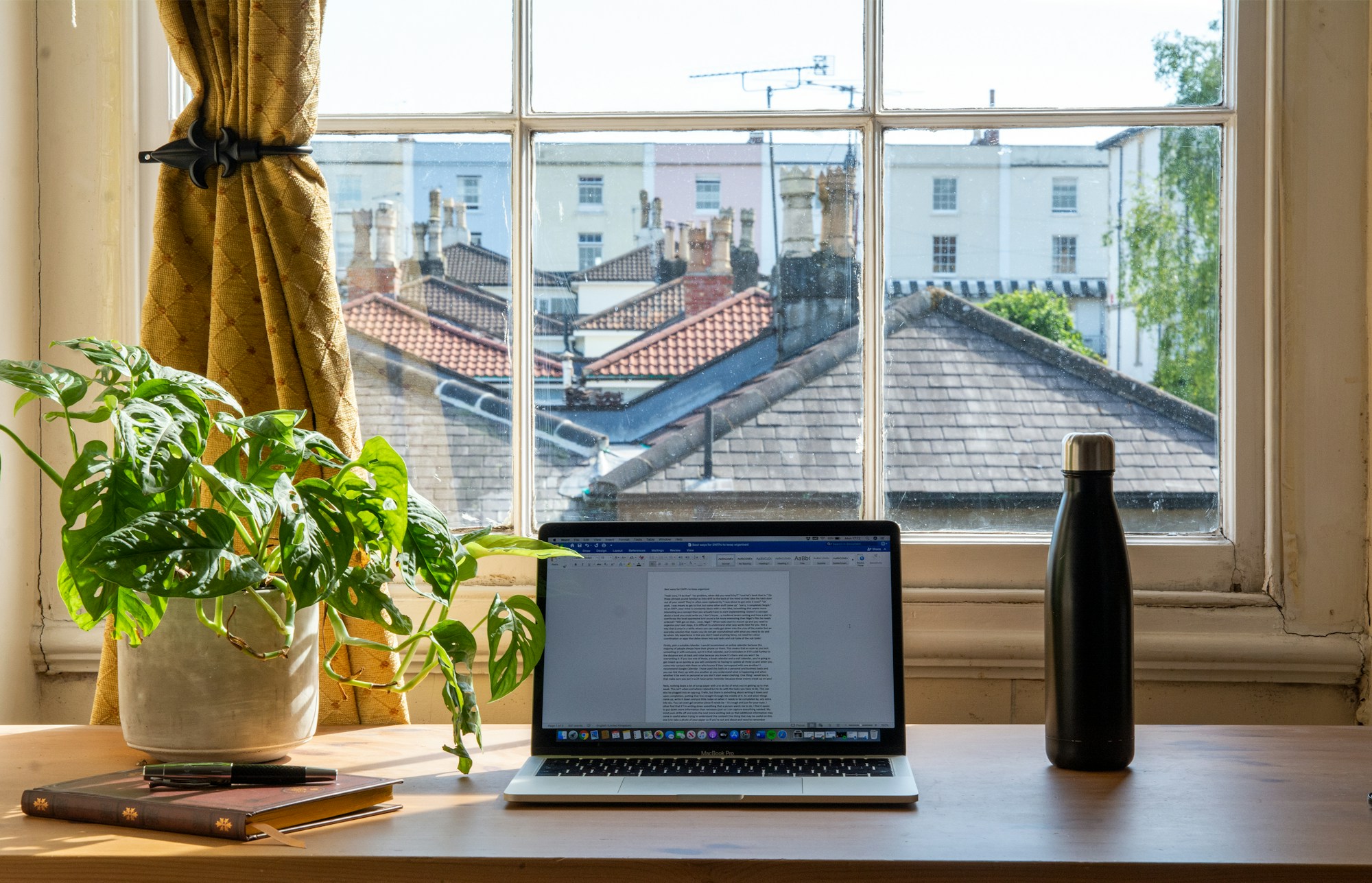 Laptop on a wooden desk beside a plant, window light