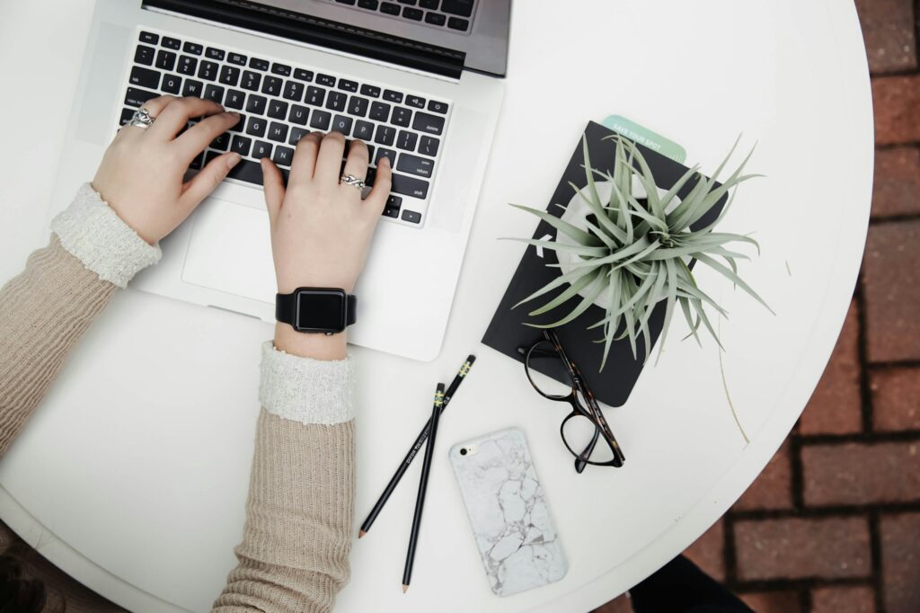 Hands typing on a laptop beside a small air plant
