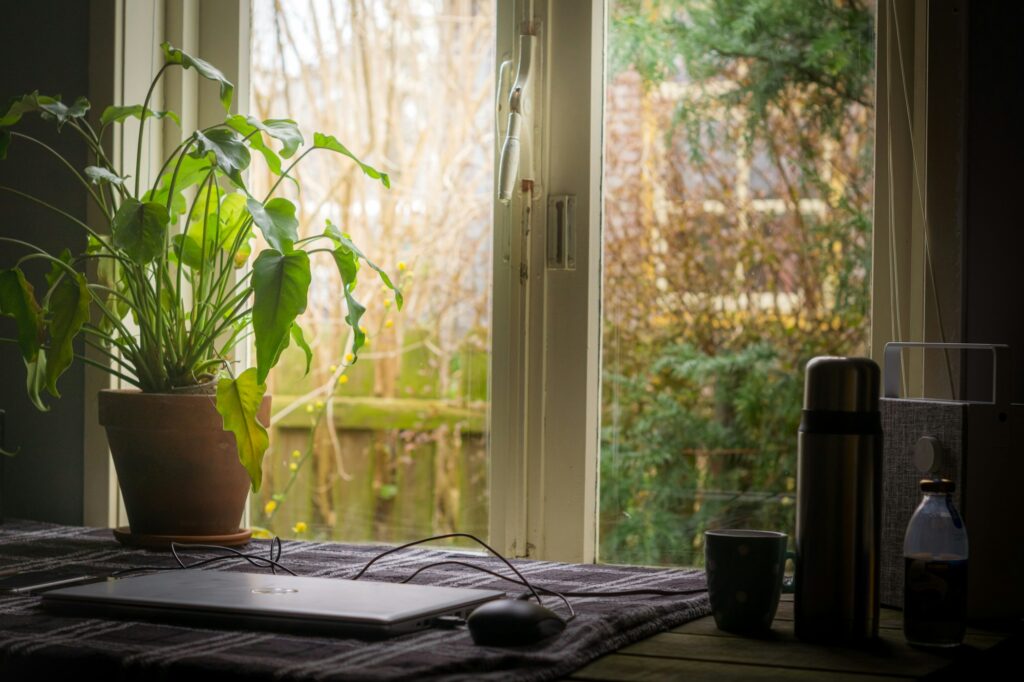 Laptop on a table with a garden view through open doors