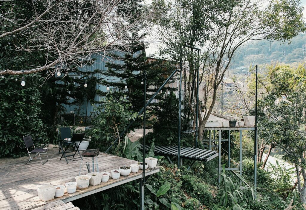 Quiet deck with plants overlooking green trees