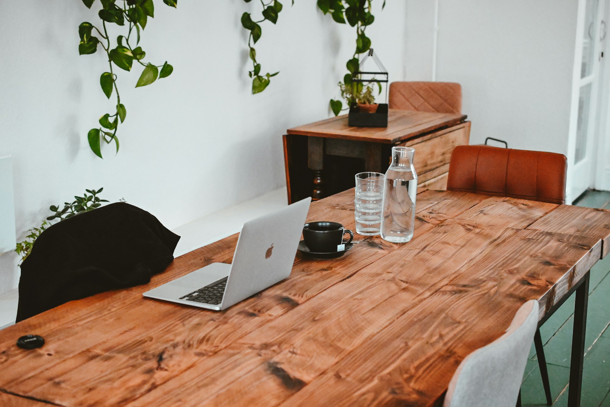 Laptop on a long wooden table with trailing plants