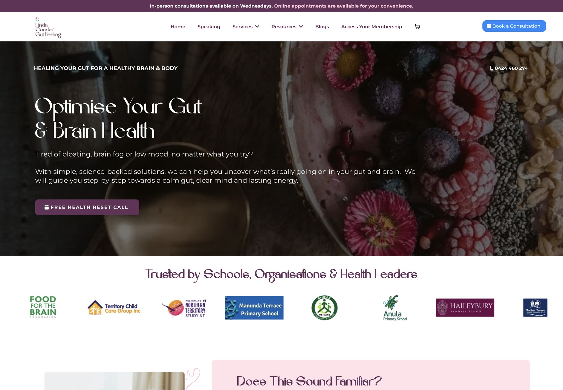 Homepage of the Gut Feeling website by Linda Conder, designed by EasyAz